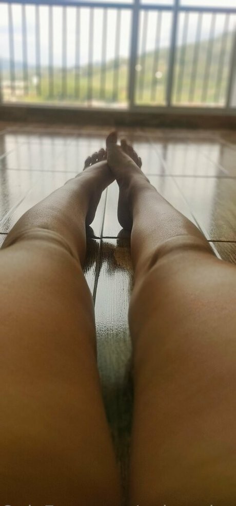 palomalopezfree star adult archive