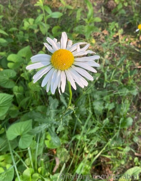 rukiabrat model porn photos