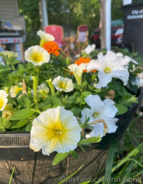 rukiabrat adult star pics