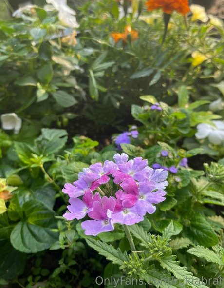 rukiabrat erotic actress gallery