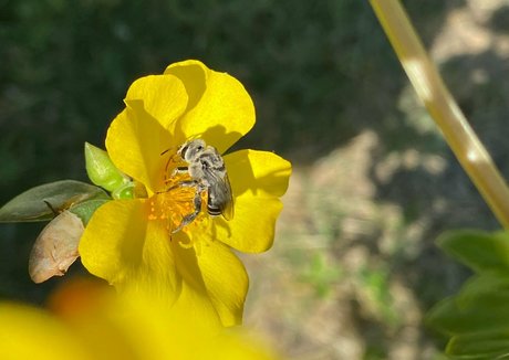 amateur onlyfans xxx pics