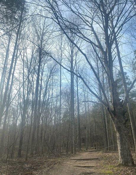 rukiabrat star pretty pictures