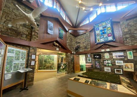 rukiabrat high quality pornstar pic