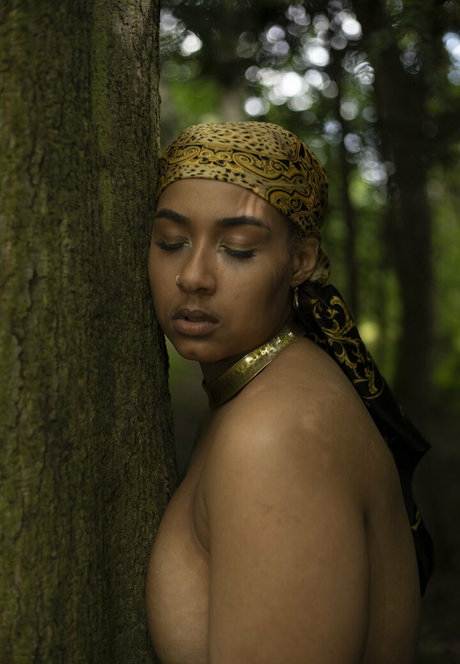 schuggamamabbb beautiful pornstar galleries