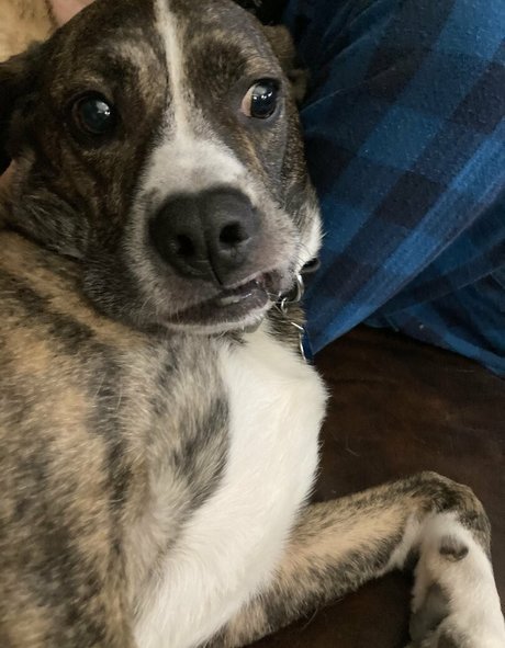 bridgetblack model hd archive