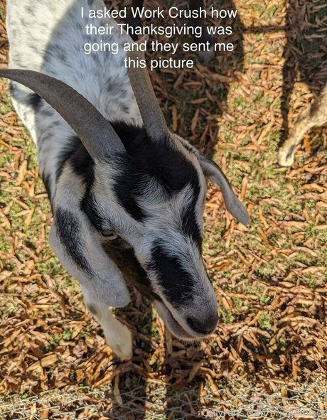 bridgetblack nudes model image