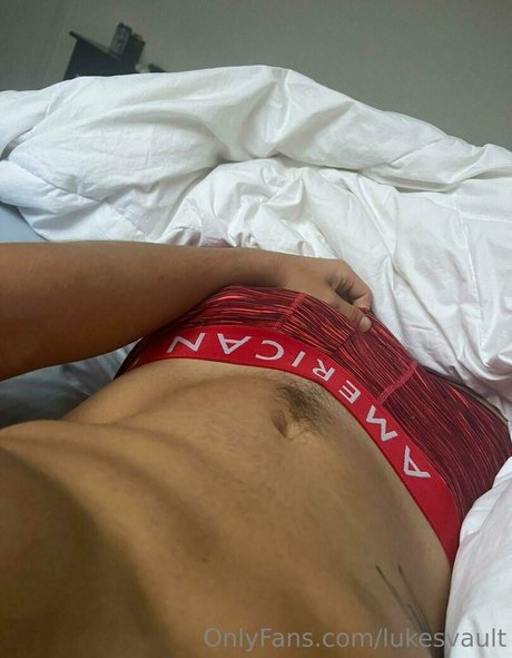 lukesvault model top img