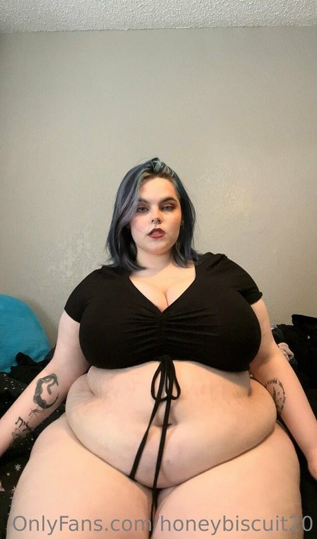 honeybiscuit20 star galleries