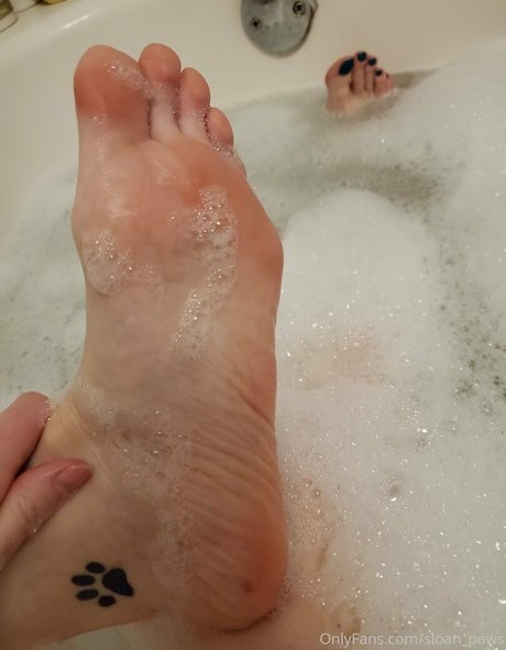 sloan paws high quality pornstar galleries