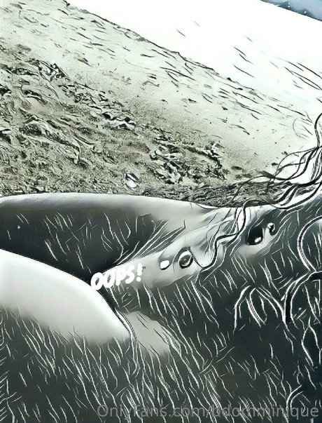 bdomminique model best image