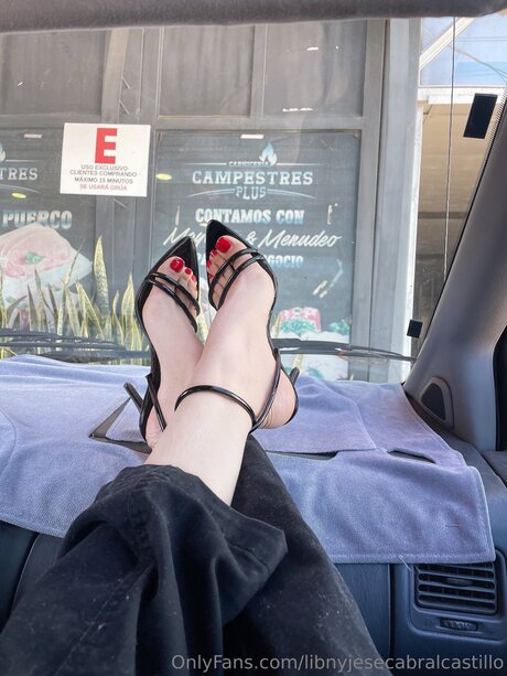 Libnyjesecabralcastillo best model picture