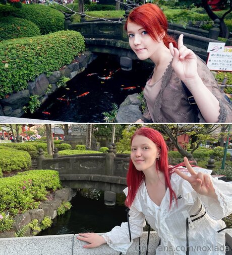 Noxlada star nice gallery