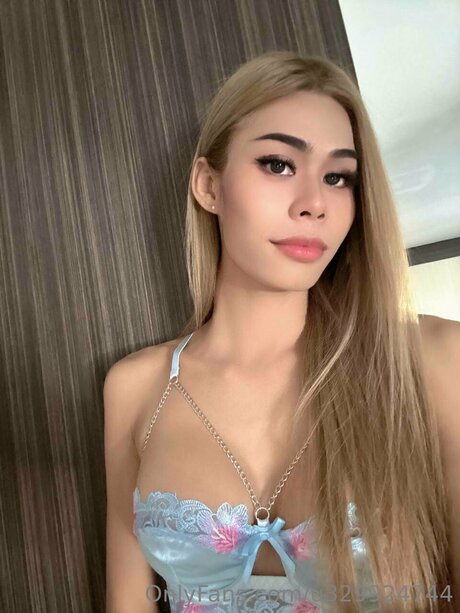 Starlitsylvia model top images