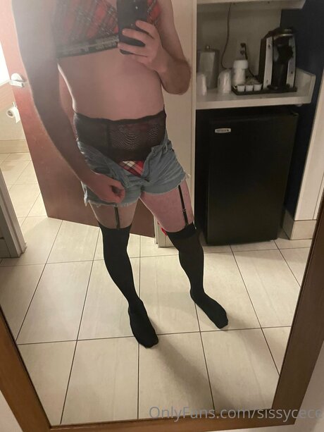 Sissycece pornstar top picture