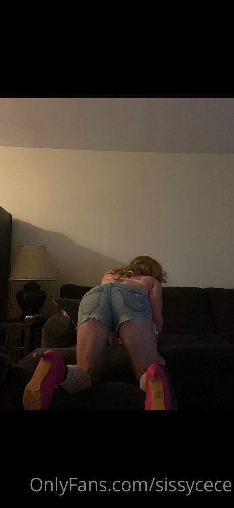 Sissycece nice pornstar photo