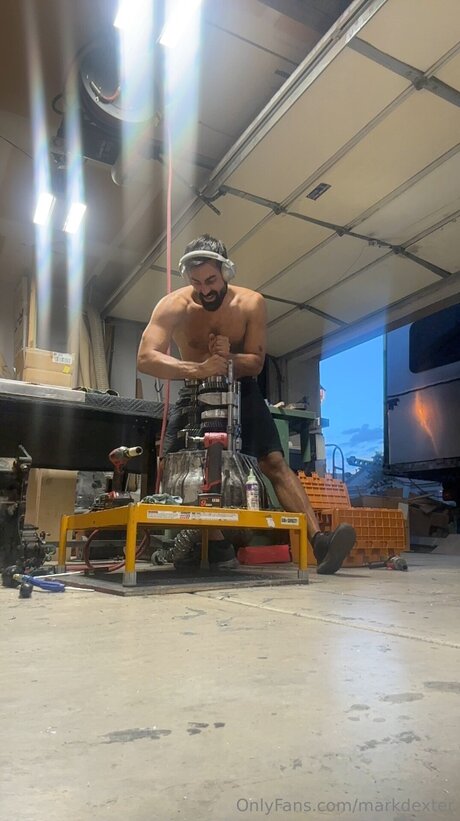 Dexterdexter profile pic