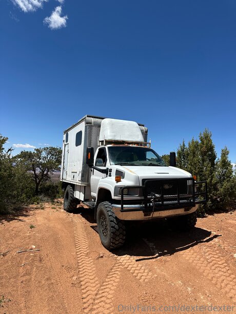 Dexterdexter best model pics