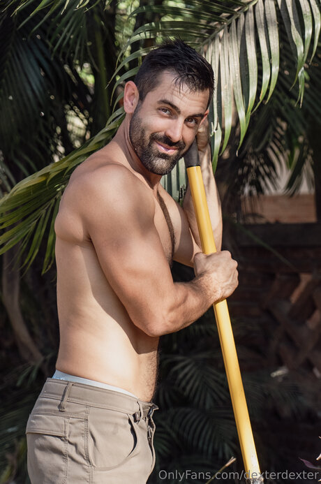 Dexterdexter exclusive star images