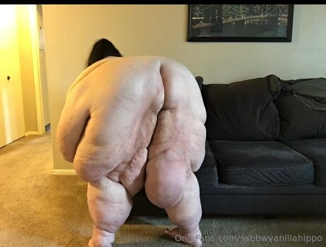 Ssbbwvanillahippo art pornstar archive