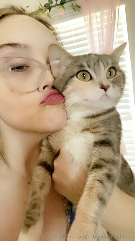 Ssbbwvanillahippo pretty pornstar img