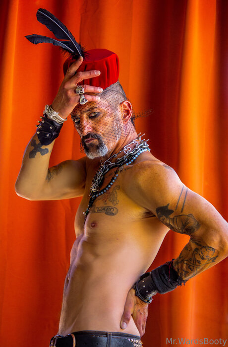 Mrward88 high quality pornstar img