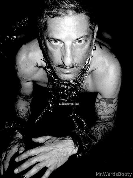 Mrward88 naked star pictures