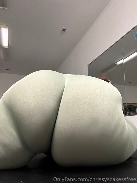 Chrissyscakessfree model img