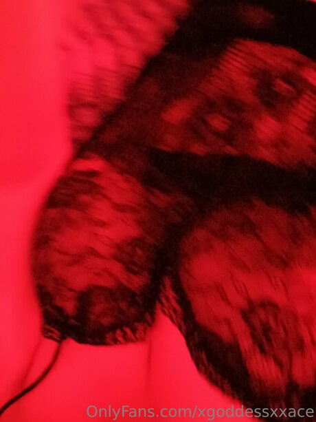 Gothicxxgamer exclusive model image