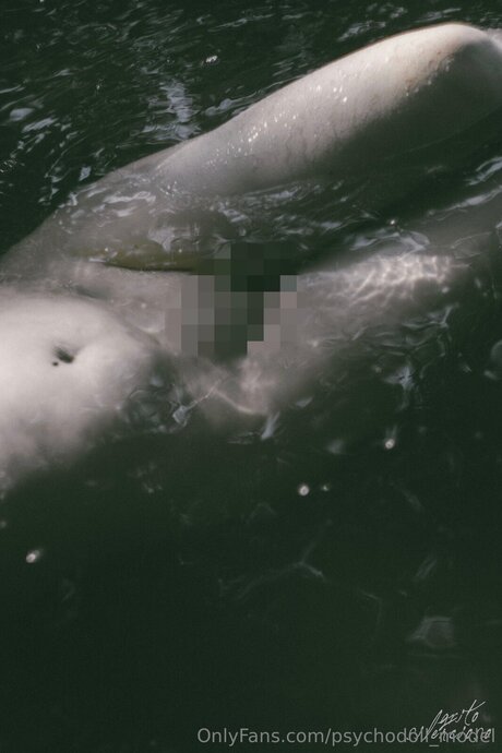 Psychodoll Model model high quality photo