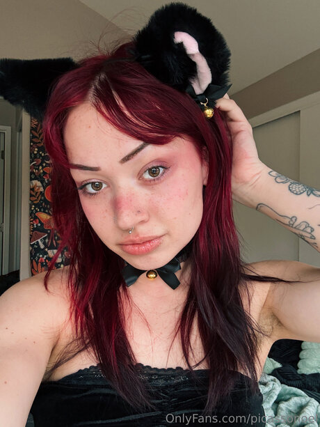 Picassonoel pornstar free picture