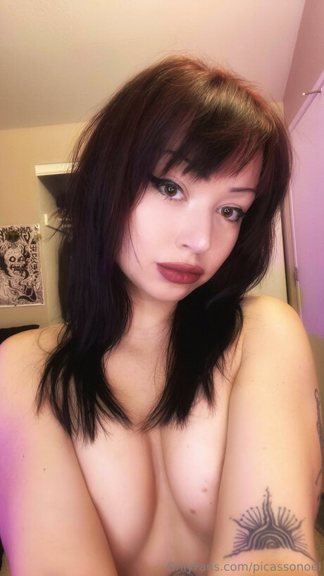 Picassonoel model top gallery