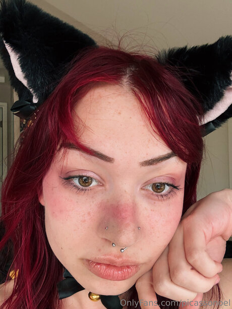 Picassonoel profile pic