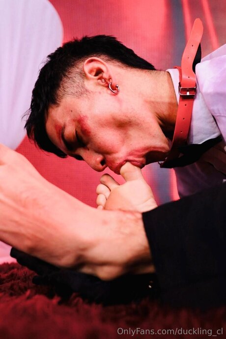 Duckling Cl pornstar sexy pics