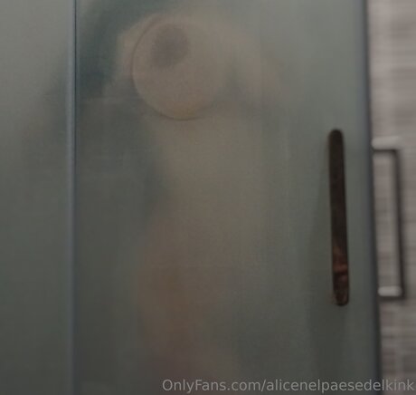 Alicenelpaesedelkink pornstar top pic
