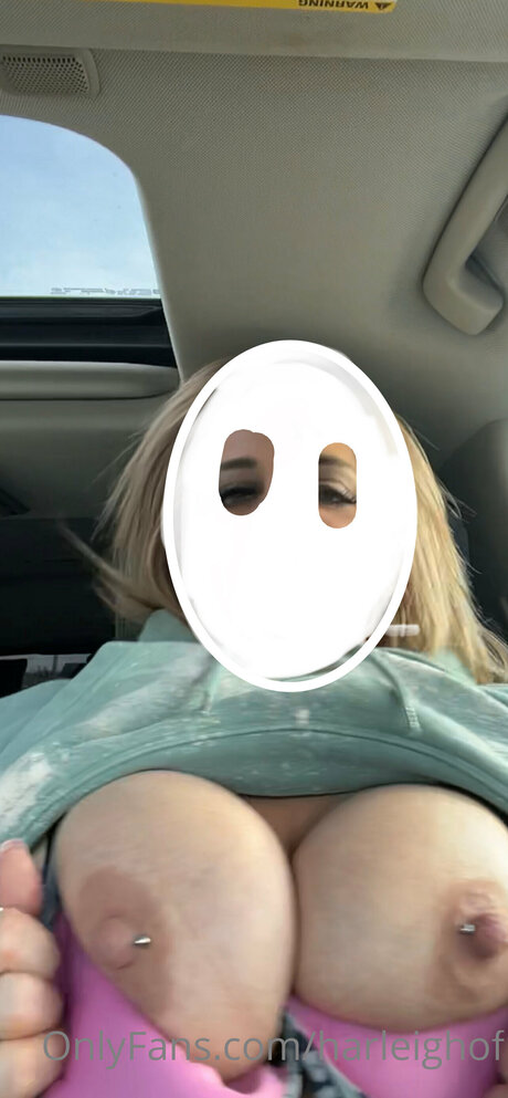 Harleighof nice model gallery