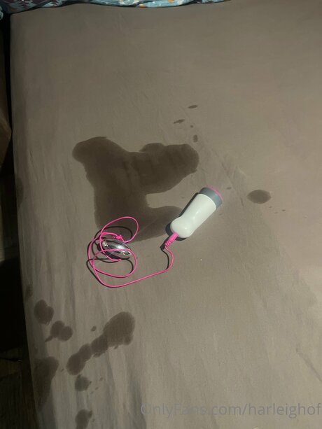 Harleighof star adult pic