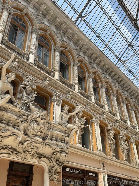 Tashha S high quality model gallery