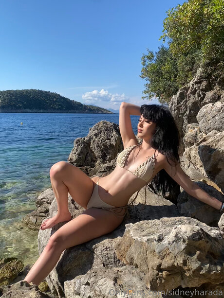 Sidneyharada perfect star galleries