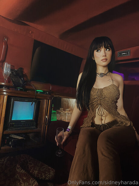 Sidneyharada sex model picture