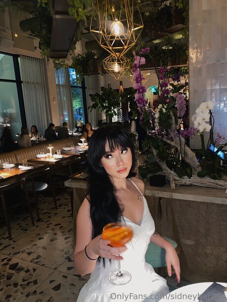 Sidneyharada actress galleries