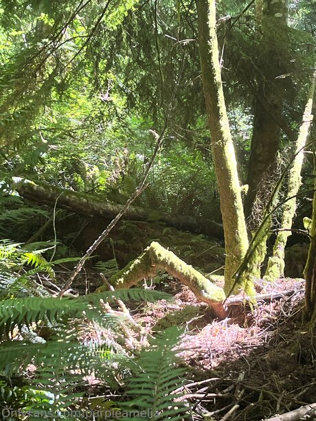 Offgridamelia art star photo