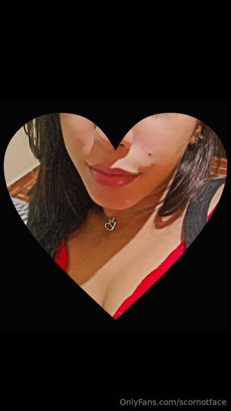 Scornotface top model img