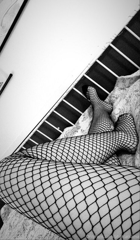 phatcatsama beautiful pornstar galleries