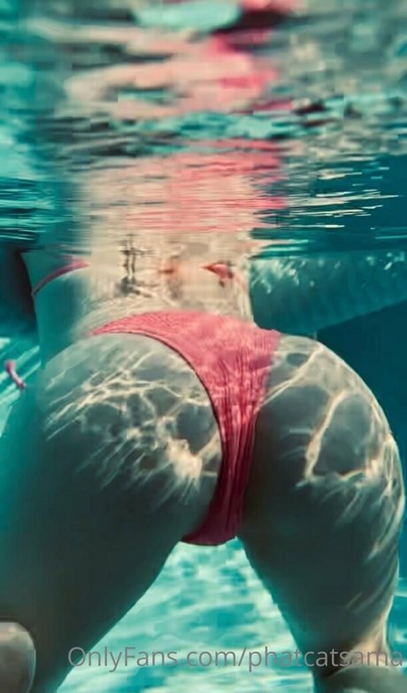 phatcatsama beautiful star pics