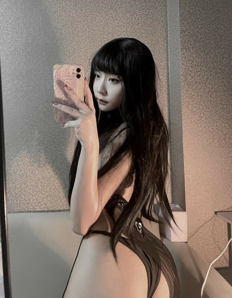 chaempr model nice gallery