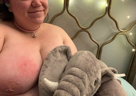 bakedbimbobunnybun best star photos