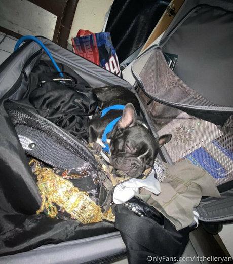 richelleryan best star img