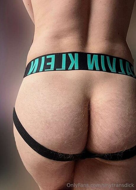 Tinytransdick model free pictures