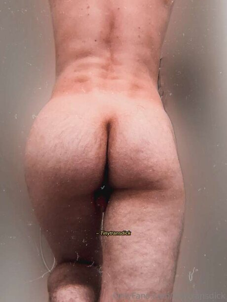 Tinytransdick star hot pictures