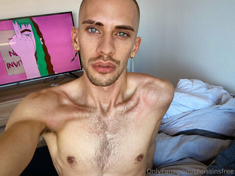 Chrissinsfree art pornstar archive